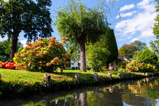 Scenic view of green riverside garden house german national park Spreewald on spring summer sunny day . Spree river forest greenery canal nature tranquil landscape in Germany blue sky background
