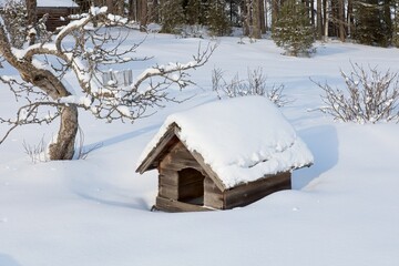 Empty old doghouse sits in a yard in winter with snow covering the ground, Liesjärvi, Tammela, Finland.