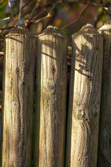Brauner Bretterzaun aus Holz mit Zaunpfählen, Deutschland - 782932496