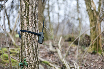 Selective of a walkie-talkie on a tree in a forest