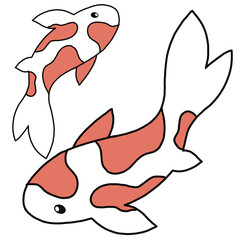 koi fish