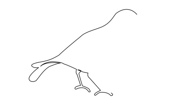 Bird continuous line draw Full length single line animation