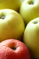 Rotten apple among ripe.
Red and yellow apples. Stale apple. 
