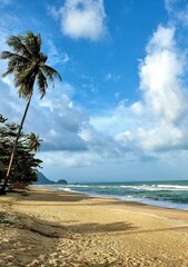 Obraz premium Beautiful tropical sandy beach with palm trees and splashing waves in a vertical shot
