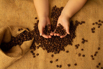 coffee beans in the girl's hands