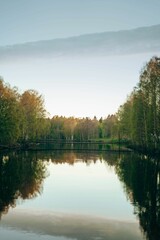 Fototapeta premium Vertical shot of a scenic river with birch trees at sunset in Sweden