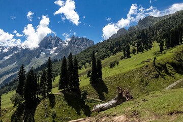 Fototapeta na wymiar Beautiful shot of rural mountain scenery in Sonamarg Hill Trek in Jammu and Kashmir, India