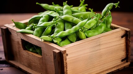 Freshly picked beans in wooden crate