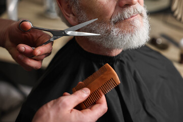 Professional barber trimming client's beard with scissors in barbershop, closeup