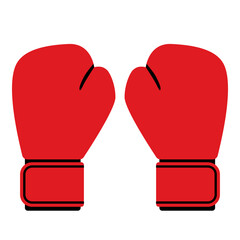 Mixed martial arts equipment: boxing gloves - 782946254