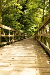 Fototapeta premium Vertical shot of wooden footbridge crossing from the woodland of The Saltings Nature Reserve