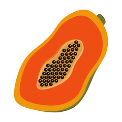 Ripe Papaya Fruit Isolated on White