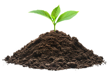 Simple soil with a small plant growing isolated on a white background