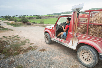 Woman driving a pickup truck with a box full of straw.