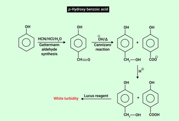 p-hydroxybenzoic acid is a monohydroxybenzoic acid that is benzoic acid carrying a hydroxy substituent at C-4 of the benzene ring.