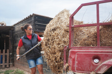 Empowered woman taking a large wad of straw from the pickup with the pitchfork.