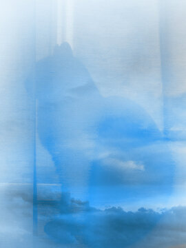 cat in blue sky and clouds