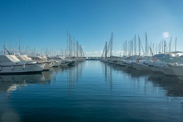 many boats lined up in a large marina with lots of sailboats