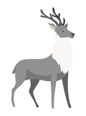Cartoon reindeer with beautiful antlers. Doe animal. Character cute deer isolated on white background. Vector illustration