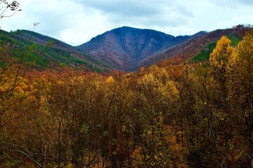 the mountains are calling for fall to come and be seen