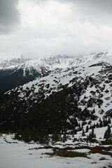 Obraz premium Vertical shot of a snow-covered hill in Grzes mountains, Poland