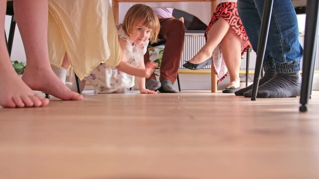 Cute Adorable Caucasian Toddler Girl Crawling under Table  Playing Hide and Seek during Family Gathering Party Meal