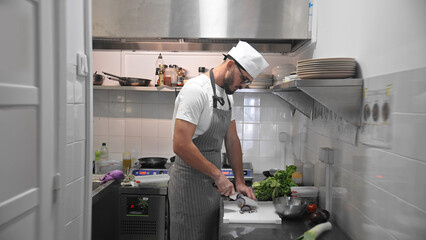 Male head chef prepare tasty fresh dish. Man cook meal restaurant kitchen. Young adult person work...