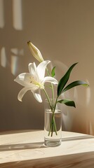 Still life with lily flower in vase