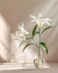Lily flower in a vase