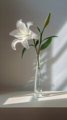 Naklejka na ściany i meble Lily flower in vase