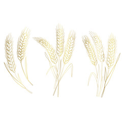 wheat ears isolated on white - 782966480