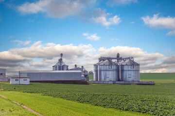 silos on agro-industrial complex with seed cleaning and drying line for grain storage - 782969000