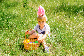 Easter egg hunt. Little boy child kid in bunny ears having fun,picking up eggs in grass,in garden. Easter holiday tradition. Baby with basket full of colorful eggs