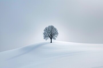 Fototapeta na wymiar Serene winter landscape untouched snow