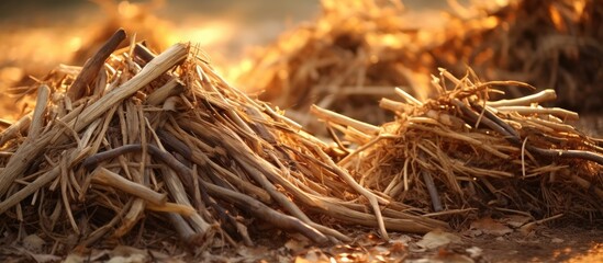 A pile of hay on dirt ground