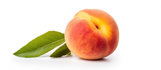 Ripe peach with leaf on white backdrop