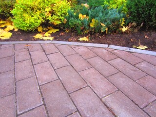 The garden area is paved with grey concrete paving slabs and bordered with a grey border. In the photo, autumn, yellowing spirea bushes and yellow fallen maple leaves are visible.