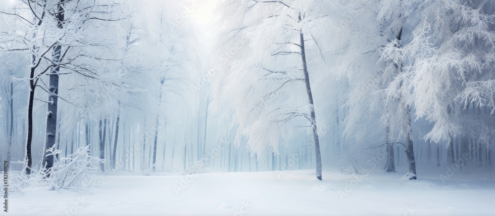 Poster snowy path through forest