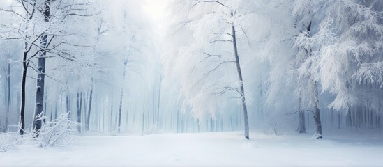 Snowy path through forest - obrazy, fototapety, plakaty