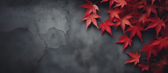 Maple leaves lie on the hard surface - obrazy, fototapety, plakaty