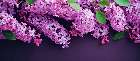 Foto op Plexiglas Purple lila flowers on a black surface © vxnaghiyev