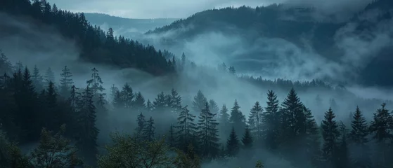 Foto auf Acrylglas Morgen mit Nebel Amazing mystical rising fog dust forest woods trees landscape panorama banner