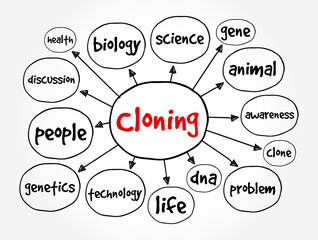 Cloning is the process of producing individual organisms with identical genomes, mind map text concept background