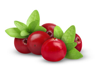 Fresh ripe cranberries with leaves isolated on white