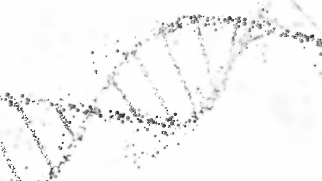 3D rendering of a DNA double helix structure with spheres on a white background with copy space. Genomic sequencing, molecular biology, and genetic data analysis