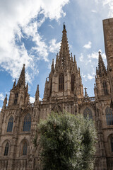 Fototapeta na wymiar Barcelona, Spain: The Cathedral of the Holy Cross and Saint Eulalia