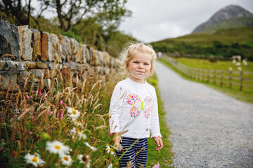 Cute little happy toddler girl running on nature path in Connemara national park in Ireland. Smiling and laughing baby child having fun spending family vacations in nature. Traveling with small kids