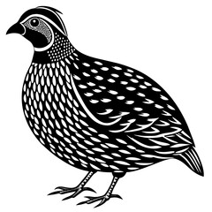 Obraz premium Quail Bird silhouette. quail Logo design concept isolated on white background. Quail logotype Vector Illustration