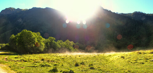 Morning in the mountains. Foothills, greenwood, rising sun, the steam from the evaporating dew, the...