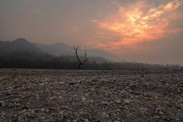 Sunrise view of Jayanti river bed at Buxa Tiger Reserve